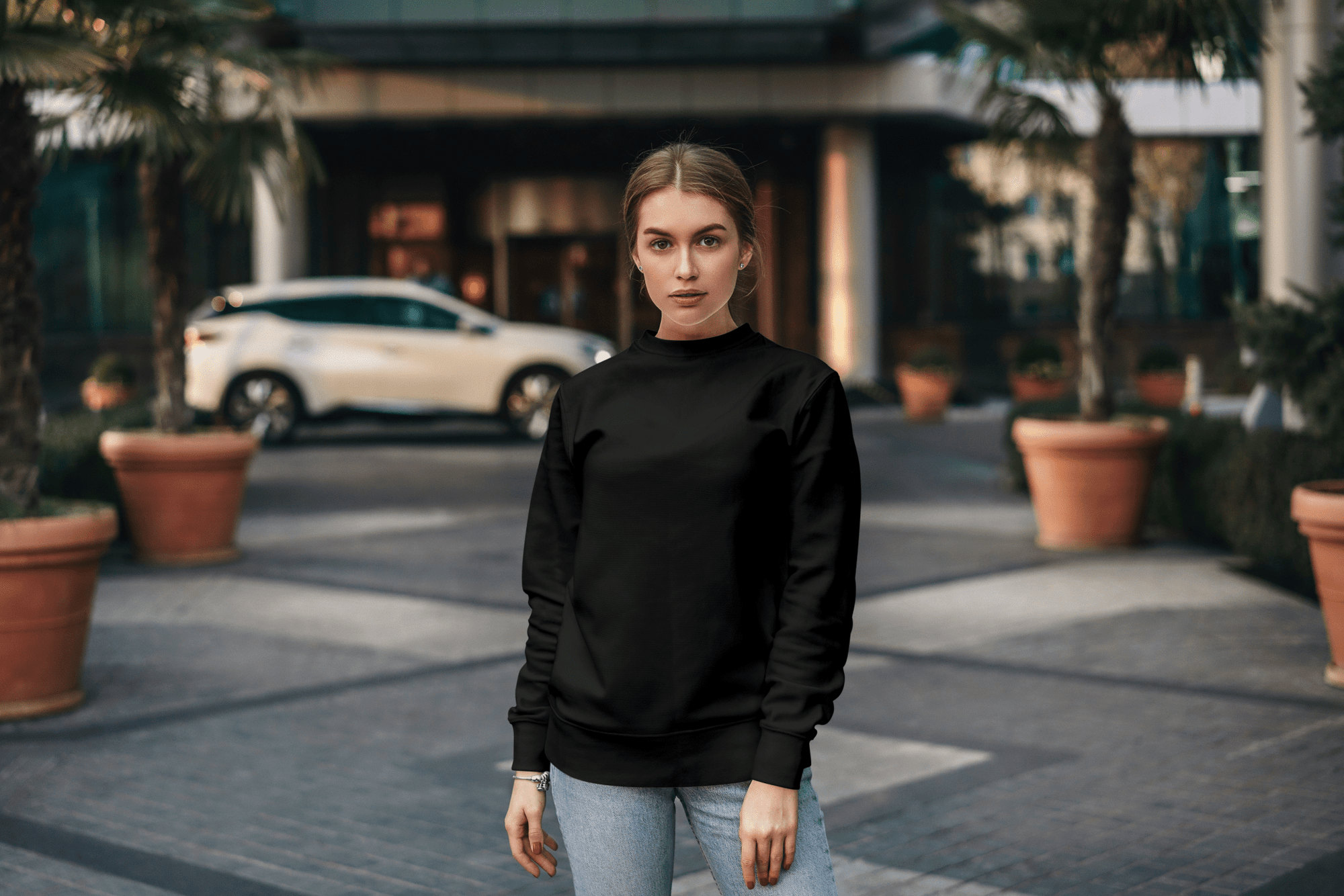 Premium Printed Sweatshirts - teeroo clothing